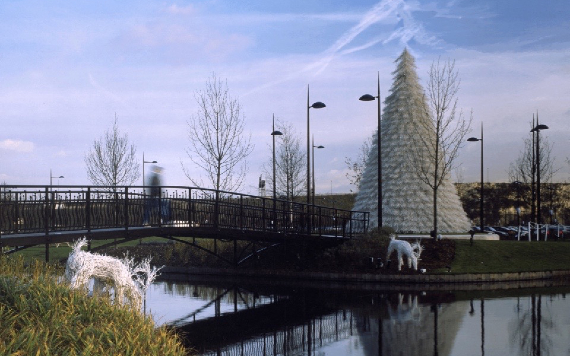 Giant Christmas Trees Grand Feature Christmas Trees Barrango, MFG