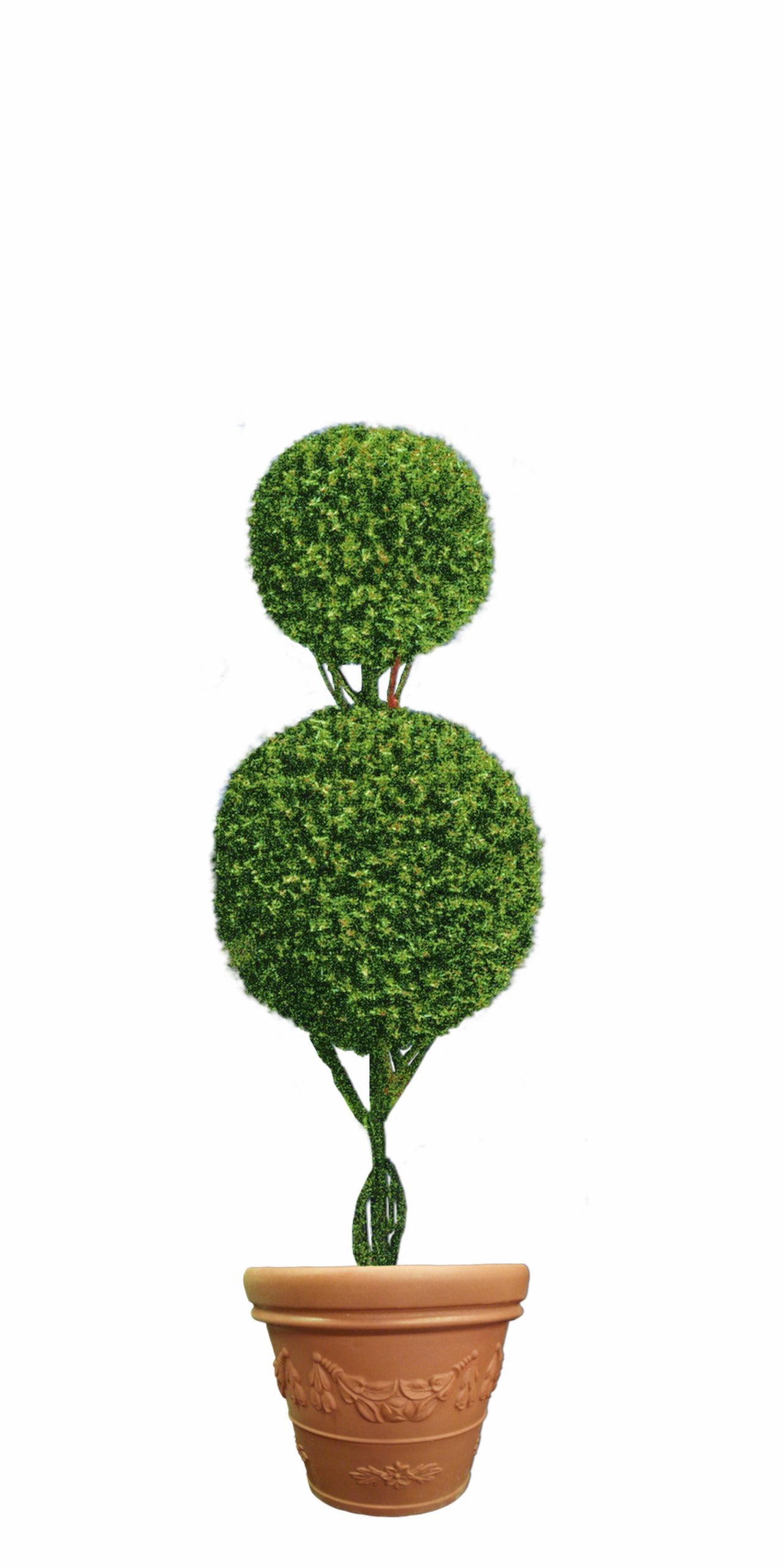 double-ball-topiary-in-pot Double Ball Topiary tree in flower pot
