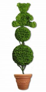 Double Ball Topiary with teddy bear topper