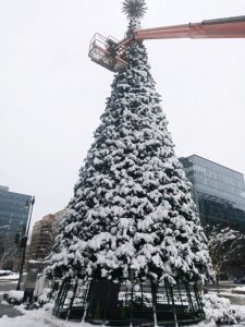 Giant 70ft MP Christmas tree covered in snow during take down