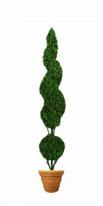ball with spiral topiary tree in flower pot