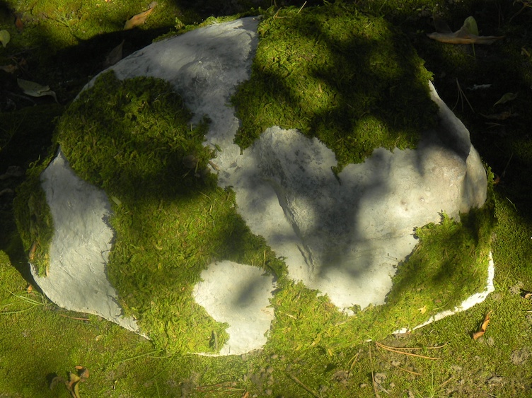 Moss covered granite rocks