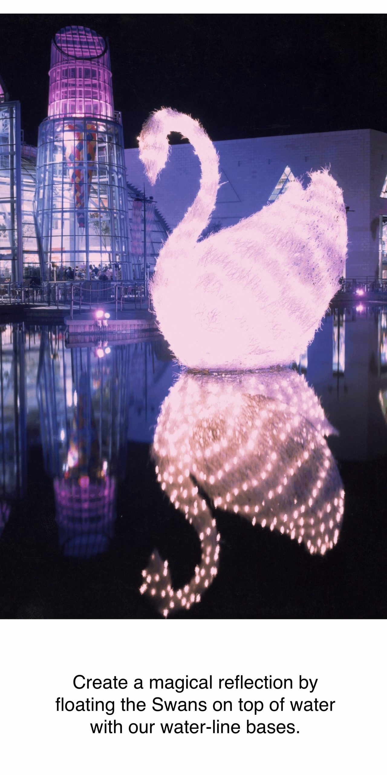 manzanita swan on water line base floating on pond lake reflection of led lights