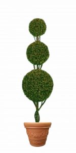 Triple Ball Topiary tree in flower pot